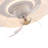 Divleen 18.89'' Ceiling Fan with LED Lights