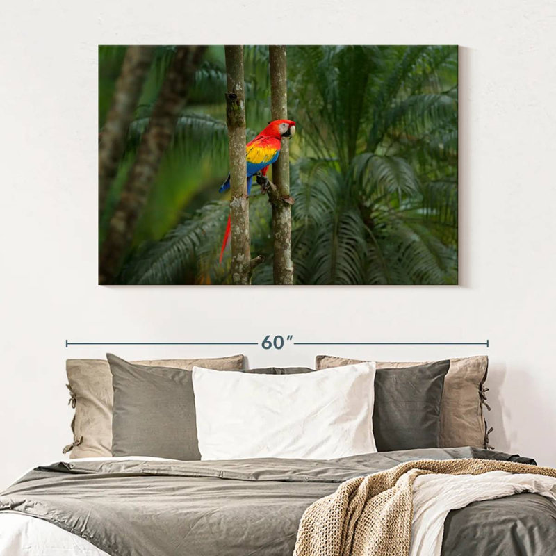 Brampt Wild Scarlet Macaw, 34" H x 51" W