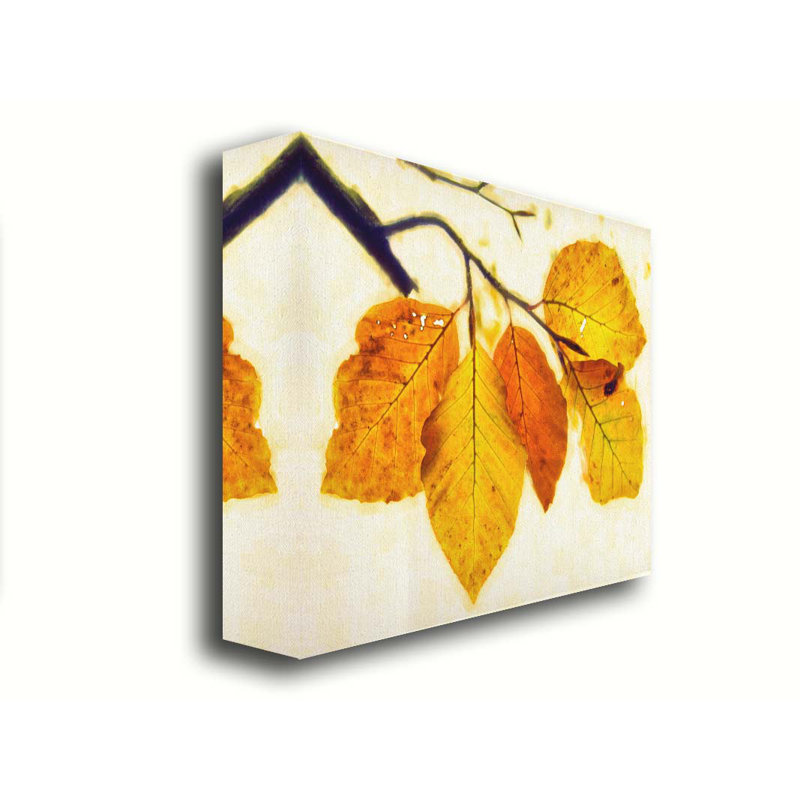 Autumn Etching II by Hal Halli. Giclee Gallery, 40" H x 50" W