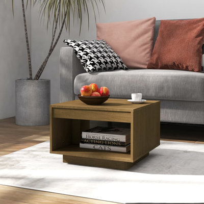 Shook Solid Wood Frame Coffee Table with Storage