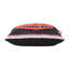 Coussin 20 x 20 po Halloween