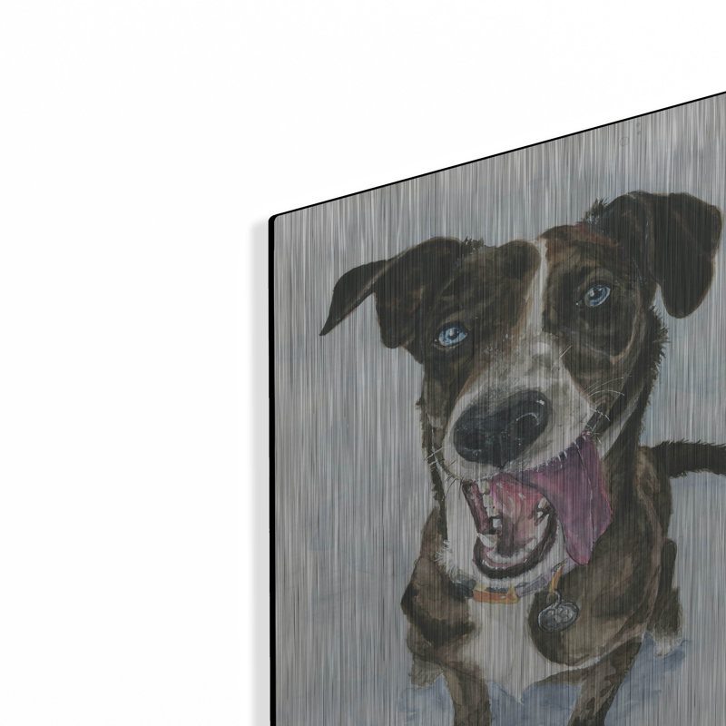  «Portrait souriant de chiots bringés» par Anika Goodhue, art mural en métal, 12 po x 16 po, H 16 po x l 12 po