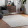 Geometric Hand Woven Area Rug