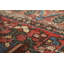 Tapis Garden Design 4 x 6