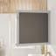 Miroir de salle de bain Minnich