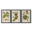 Antique Leaves I - ensemble de 3 impressions sur toile encadrées-538655368-538655371