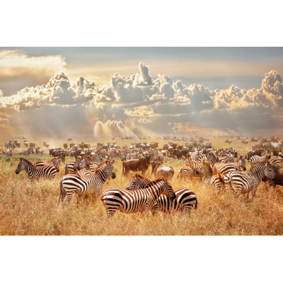 " Zebras And Wildebeest " by Delbars