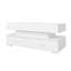 Davanie Solid Coffee Table with Storage-1007953760