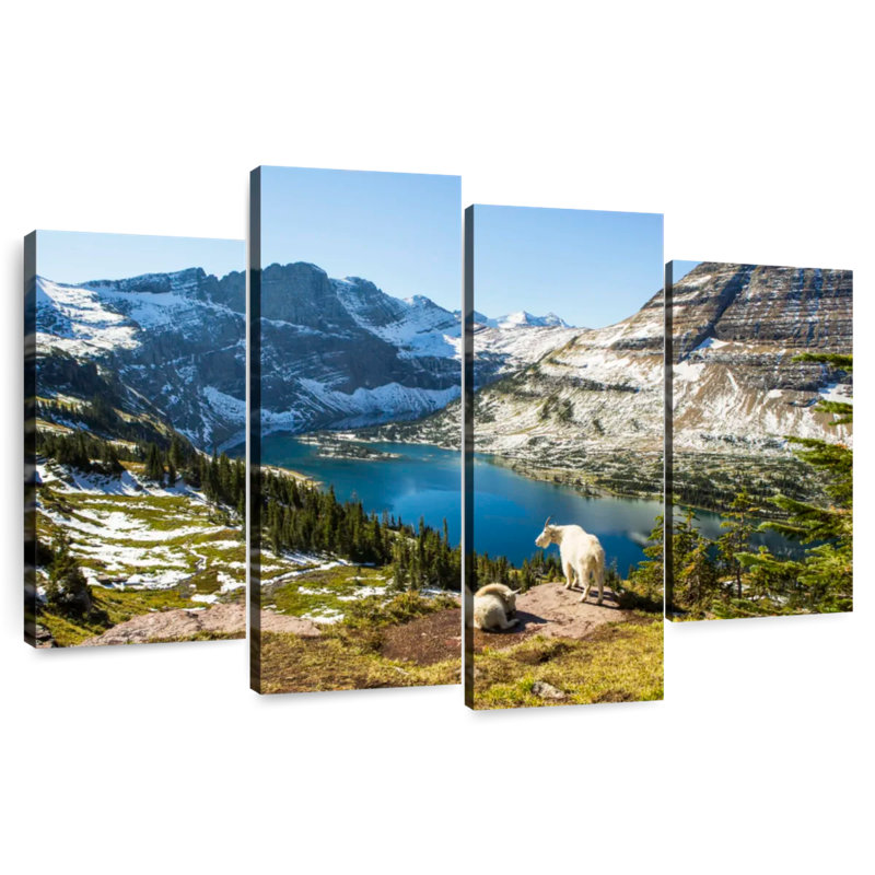 Chèvres de montagne d'Alvord au parc Glacier, H 48 po x l 75 po