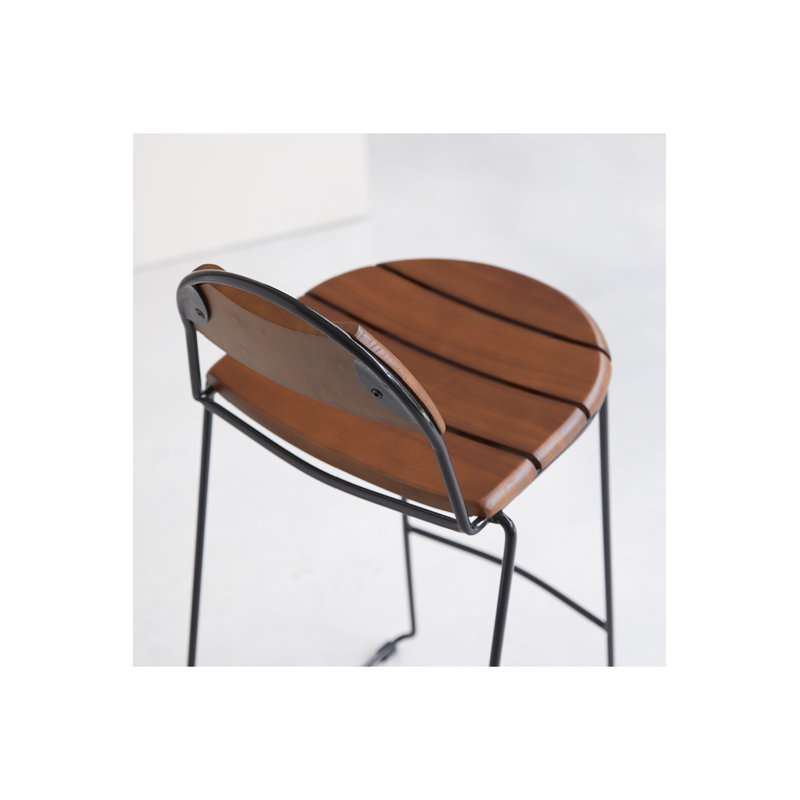 Molly Barstool