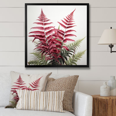 " Ferns Ruby Essence I "