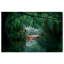 «Kyana Animals», David Fleetham - tigre du Bengale, impression sur toile verte-1095268682