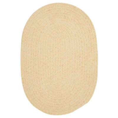 Mcclanahan Chenille Indoor Rug