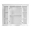 36'' X 28'' Medicine Cabinet