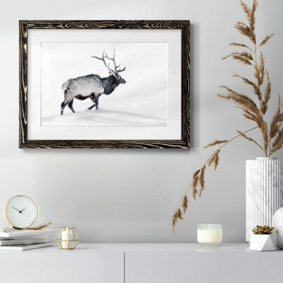 " Lone Bull "