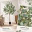Arbre en eucalyptus de 6 pi de hauteur avec matériau PE sécuritaire et branches réglables en acier inoxydable pour une utilisation intérieure / extérieure