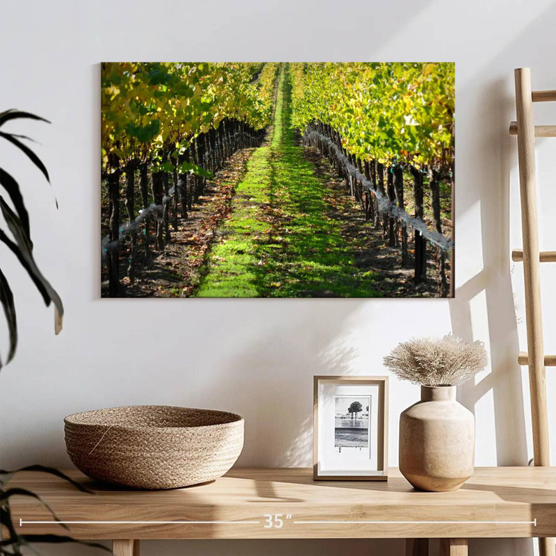 Yarlin Napa Valley Vineyard, H 16 po x l 24 po