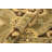 Wool Oriental Rug
