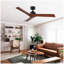 Ventilateur de plafond 52 po noir Lowe