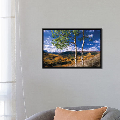«Quake Aspen Trees in Fall-Colors on Elk Mountains, Capitol Creek Trailhead, Colorado» par Tim Fitzharris, reproduction d'art graphique sur toile