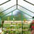 6×8 ft or 6×10 ft Walk-In Greenhouse with Polycarbonate Panels and Aluminum Frame, Outdoor Garden Planting Greenhouse with Roof Vent-121544020-121544021