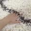 Ivoire géométrique Katia/gris foncé Tapis décoratif-31714624