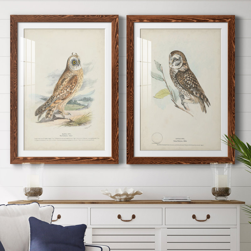 Hawk Owl Premium encadré mat - prêt à être accroché, Érable, H 37,5 po x l 27,5 po x P 1 po