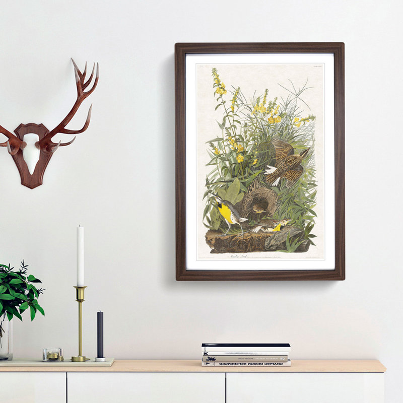 Meadow Larks by John Audubon - Picture Frame Painting Print, 36cm H x 27cm W x 2cm D, Walnut Framed