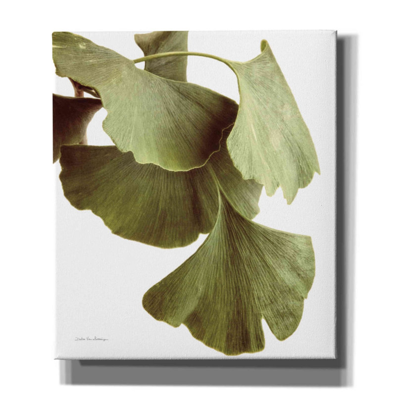 «Ginko Color on White» par Debra Van Swearingen, art mural sur toile, H 30 po x l 26 po x P 1,5 po