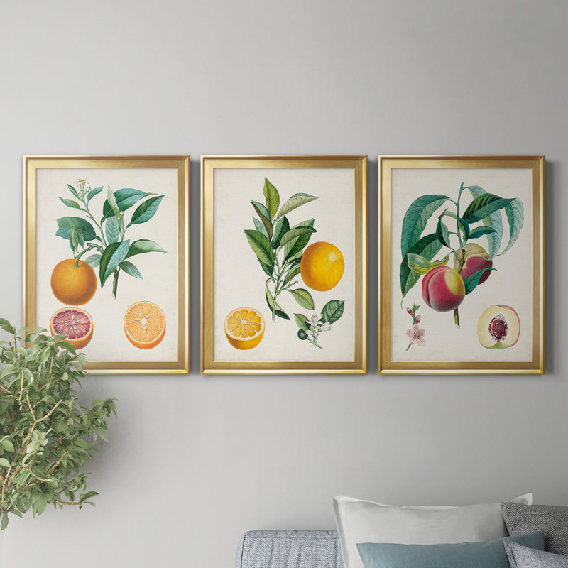" Orange De Malte " 3 - Pieces, Gold Framed, 30" H x 22" W x 1" D