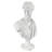Diana of Versailles Bust