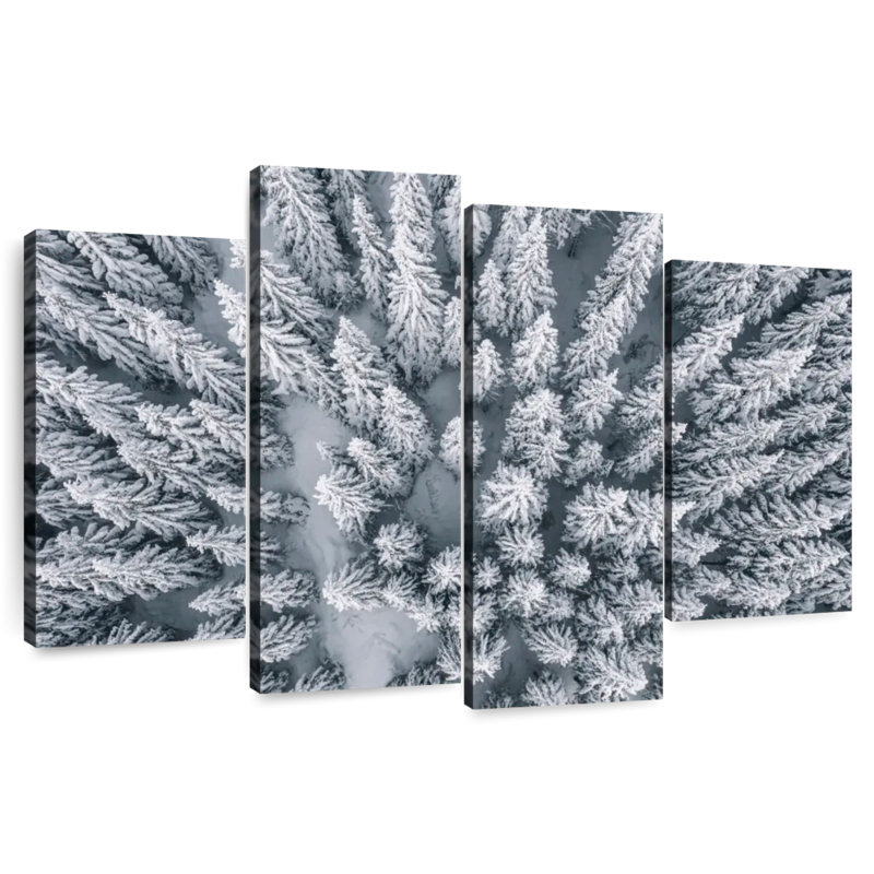 Harnek Snow Covered Pine Trees, 32" H x 52" W