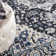 Oriental Indoor Rug