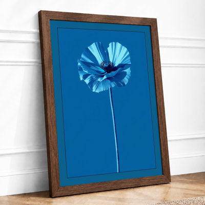 Blue Daisy Study Botanical - Print