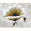 Ensemble de 4 napperons Modern Modern
