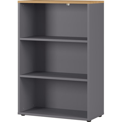 Miabella 119.7cm H x 80cm W Standard Bookcase