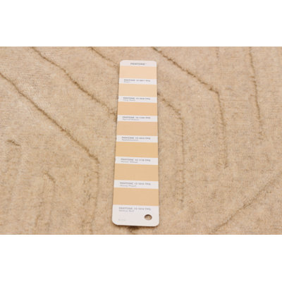 Kashkuli Gabbeh Ivory Rug 6'6" x 9'5"