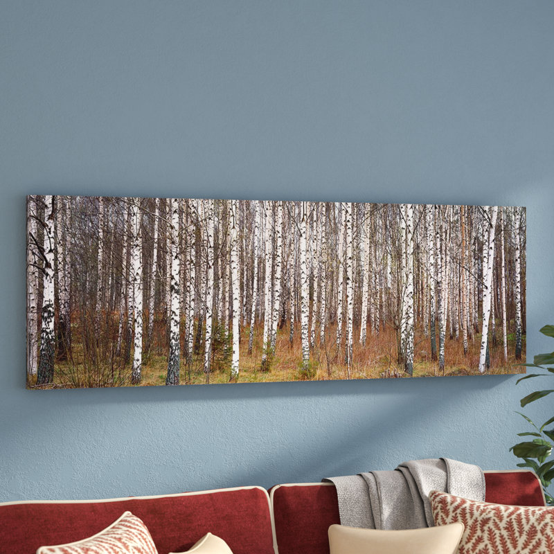 Bouleaux dans une forêt - reproduction de photo panoramique sur toile, H 20 po x l 60 po x P 1,5 po