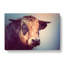 Geometric Cow Bull in Abstract - Wrapped Canvas-55316361