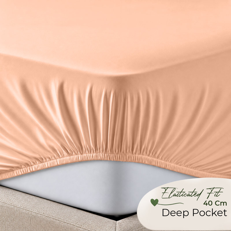 Paul's Microfibre Super Soft Brushed Deep Fitted Bed Sheet, Single (3'), Peach