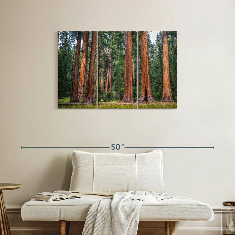 Harnek superbe Sierra Redwoods, H 24 po x l 38 po