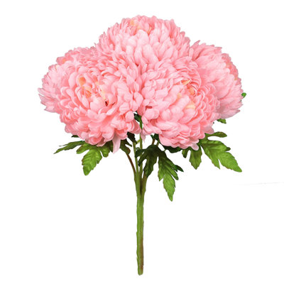 Chrysanthème buisson
