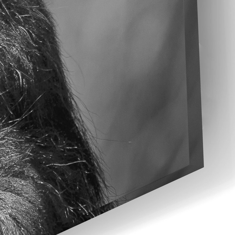 " Chimp " by SD Smart, 16" H x 24" W x 0.2" D