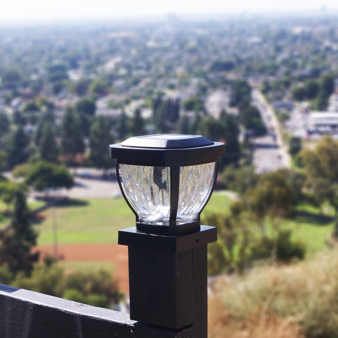 Tahany Crystal Lantern Head Arlmont & Co.