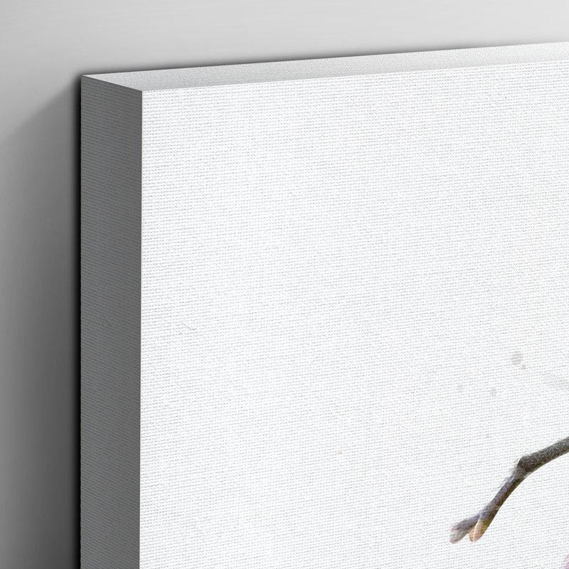 Print, 40cm H x 60cm W, Wrapped Canvas