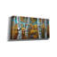  'Autumn Birch' by Campbell Frost Canvas Wall Art, 60" x 30"