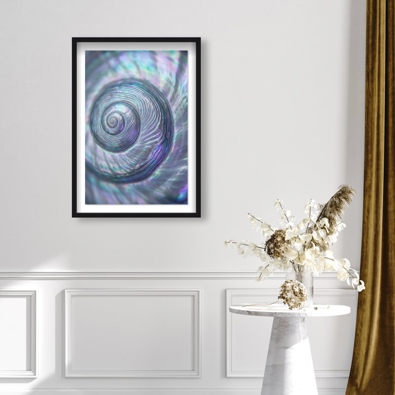 Sea Spiral Print by Oliver Gal, 37.5"H x 25.5"W, Black Shadowbox
