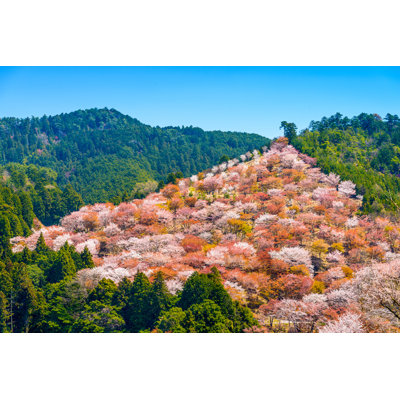 Yoshinoyama, Japan In Spring by SeanPavonePhoto - Wrapped Canvas Print