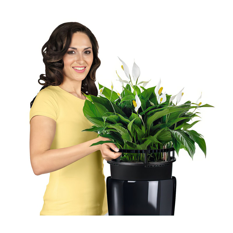Rondo Pot Planter, Black, 56 cm H x 32 cm W x 32 cm D