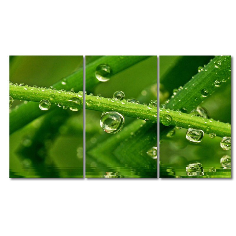 3 Piece Wrapped Canvas Print